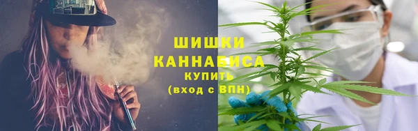 дурь Алзамай